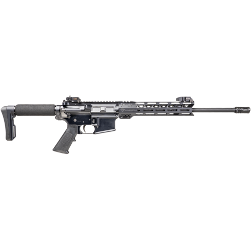 C3 (CONSTANT CARRY CARBINE) - with Sights
