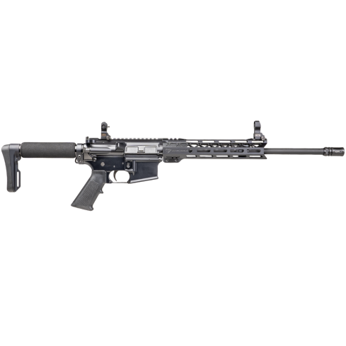 C3 (CONSTANT CARRY CARBINE) - with Sights